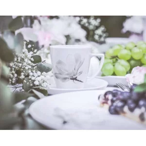 6474 BOSS/BEATA/DOROTA Serwis obiadowo-kawowy 6/32