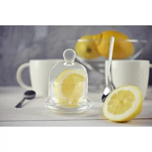 09-021/1 Pojemnik na cytrynę 186