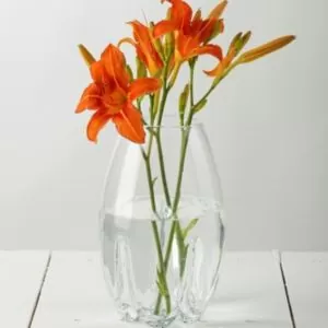 05-837/25 Wazon mandarynka h-230