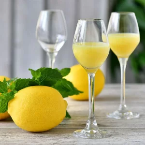 SPLENDOUR Kieliszki do wódki 60 ml| komplet 6 sztuk