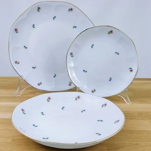 Talerz obiadowy płytki 26 cm Lubiana - Jastra