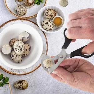 Obcinacz do jajek stalowy 14,5 cm - Orion